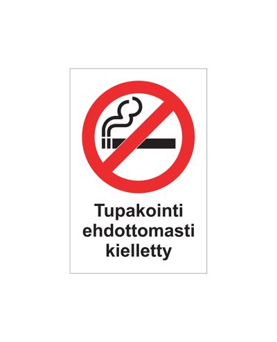 Smoking is strictly prohibited, Sticker, 200x300 mm