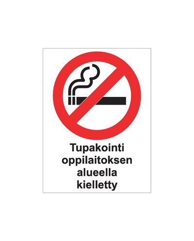 Smoking prohibited on school premises, Sticker, 200x300 mm