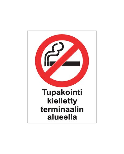 No smoking in the terminal area, Sticker, 200x300 mm