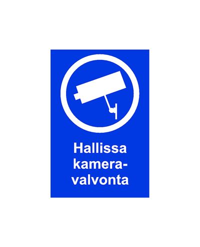 Camera surveillance in the hall, Sticker, 200x300 mm