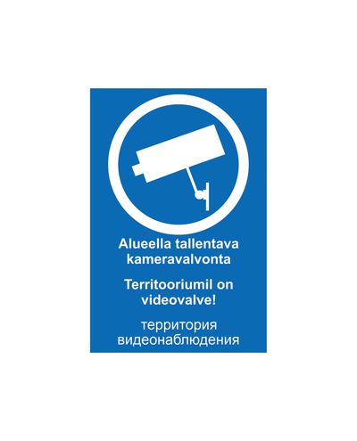 Camera surveillance Estonia Russian, Sticker, 200x300 mm